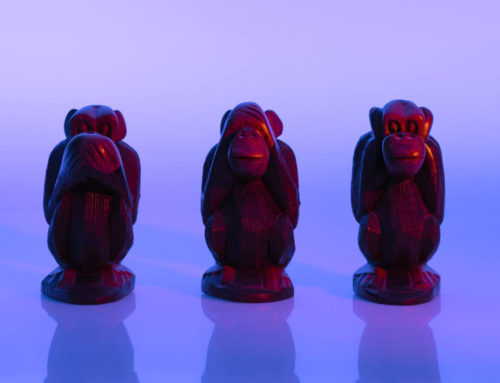 Το πραγματικό, συναρπαστικό μάθημα από τις «τρεις σοφές μαϊμούδες»